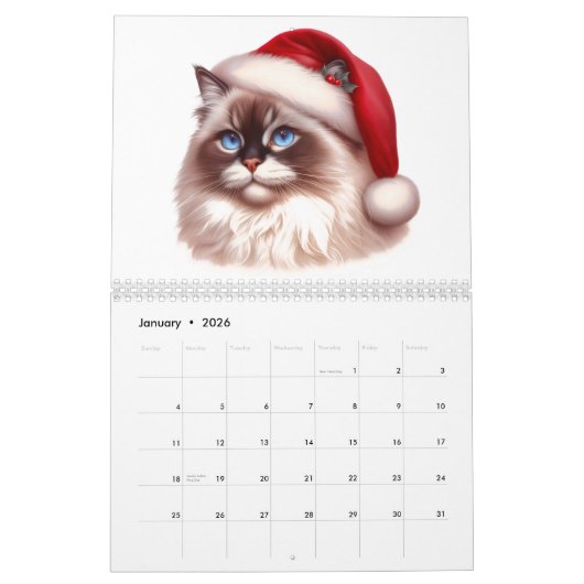 Purr-fect Christmas: 2026 Cat Calendar Kalender (Jan 2026)