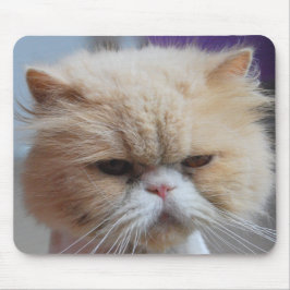 Purr-fect Perzisch muismat
