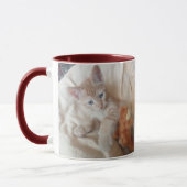 Purr-fecte dag kat foto  mok (Links)