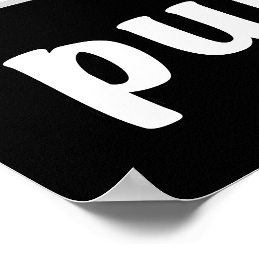 Purramid Cat Pyramids Cute Kitten Poster (Hoek)