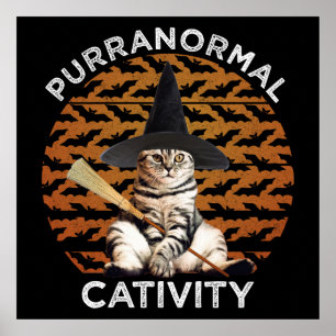 Purranormale activiteit poster