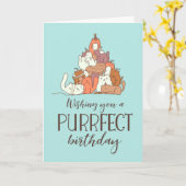 Purrfect Birthday Funny Cat Lover Birthday Kaart (Gele Bloem)