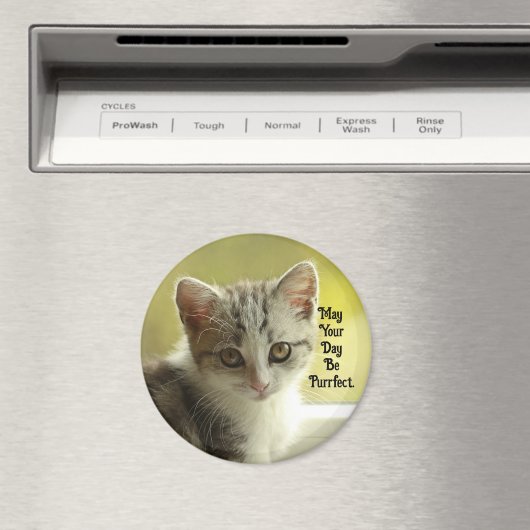 Purrfect Day Kitten Magnet (Insitu (Vaatwasser))