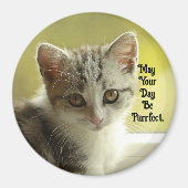 Purrfect Day Kitten Magnet (Voorkant)