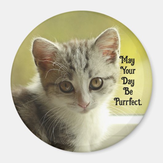 Purrfect Day Kitten Magnet (Voorkant)