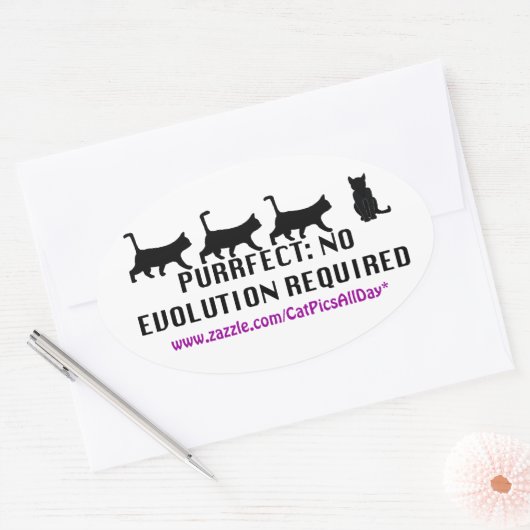 Purrfect Evolution Promo Sticker (Envelop)