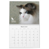 Purrfect Eyes! Kat-agenda 2012 Kalender (Mar 2027)