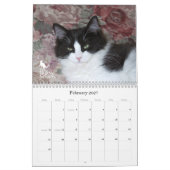 Purrfect Eyes! Kat-agenda 2012 Kalender (Feb 2027)