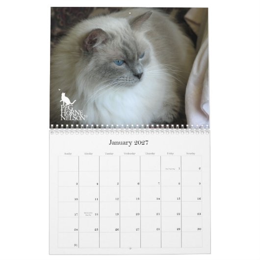 Purrfect Eyes! Kat-agenda 2012 Kalender (Jan 2027)