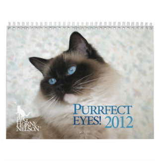 Purrfect Eyes! Kat-agenda 2012 Kalender