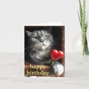 Purrfect Kaart