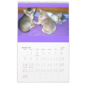 Purrfect Kitten en Cat Calendar Kalender (Feb 2027)