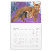 Purrfect Kitten en Cat Calendar Kalender (Jan 2027)