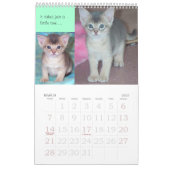 Purrfect Kitten en Cat Calendar Kalender (Mar 2027)