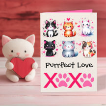 Purrfect Love Schattigee Cat Thema Valentijn