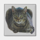 Purrfect magnet (Voorkant)