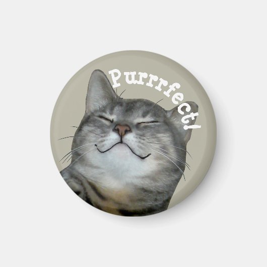 Purrfect Smilling smug kitty cat Magneet (Voorkant)