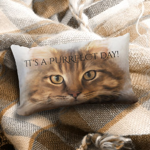 Purrfect Tabby Maine Coon Cat Pillow Kussen