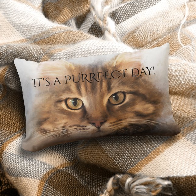 Purrfect Tabby Maine Coon Cat Pillow Kussen (A lovely pillow featuring a painting of a tabby Maine Coon cat and your custom text)