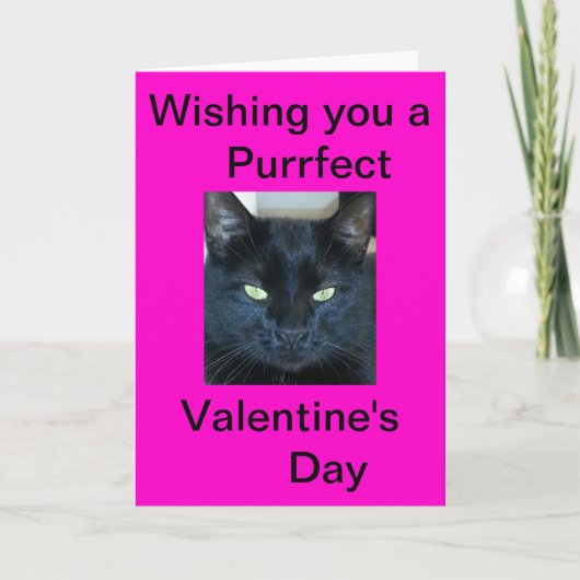 Purrfect-Valentijnsdag Feestdagen Kaart (Voorkant)