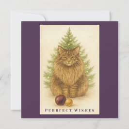 Purrfect Wishes – Cat Christmas – Maine Coon Cat Feestdagenkaart