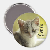 Purrfecte Dag Kitten Magneet (Voorkant / Achterkant)