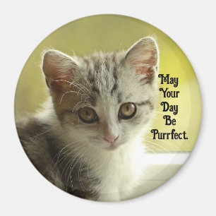 Purrfecte Dag Kitten Magneet