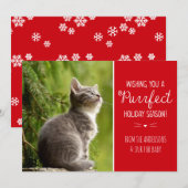 Purrfecte Kattenthema Vakantie Wenskaart Feestdagenkaart (Voorkant / Achterkant)