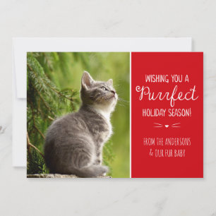 Purrfecte Kattenthema Vakantiefotokaart Feestdagenkaart