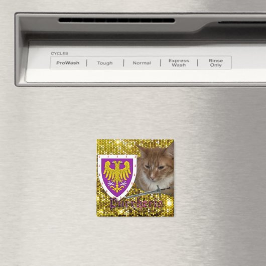 Purrheris magnet (Insitu (Vaatwasser))