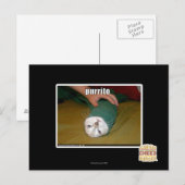 purrito briefkaart (Voorkant / Achterkant)