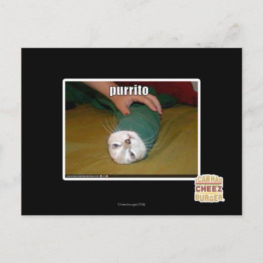 purrito briefkaart (Voorkant)