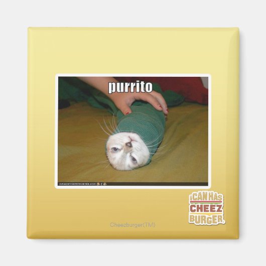 purrito magneet (Voorkant)