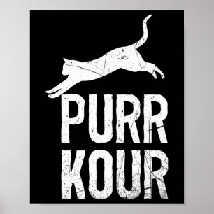 Purrkour Grappige Springende Katten Parkour Uitrus Poster