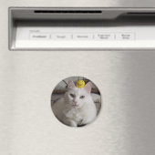 "Purrl" Magnet (Insitu (Vaatwasser))