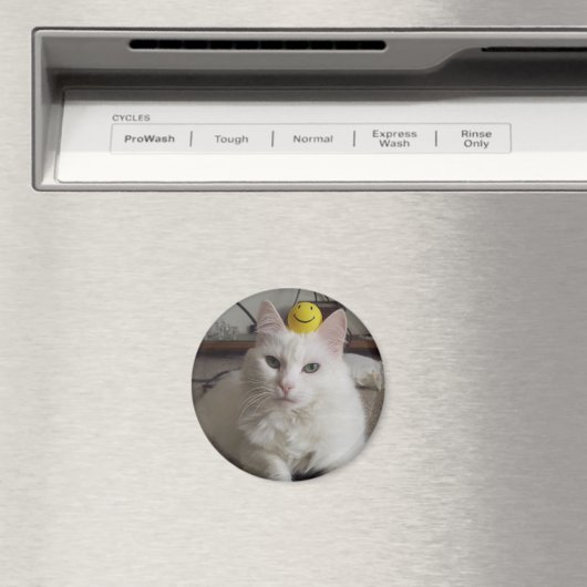 "Purrl" Magnet (Insitu (Vaatwasser))