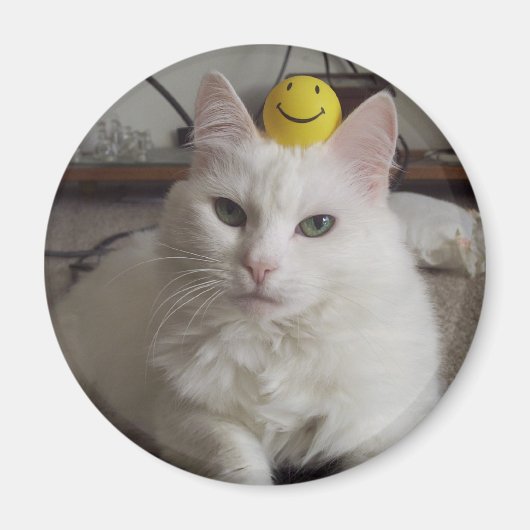 "Purrl" Magnet (Voorkant)