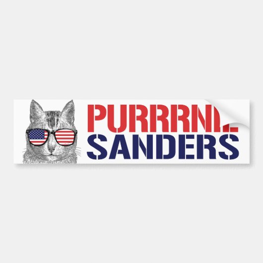 Purrnie Sanders - Bernie Sanders - .png Bumpersticker (Voorkant)