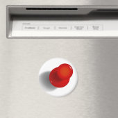 Push Pin Magnet (Insitu (Vaatwasser))
