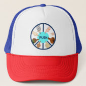 PUSH Trucker Hat Trucker Pet (Voorkant)