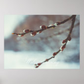 Pussy willow-bijkantoren met catkins in de late wi poster (Voorkant)