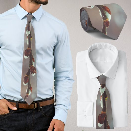 Pussy willow-bijkantoren met catkins in de late wi stropdas