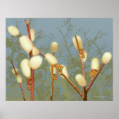 Pussy Willow Fantasy Plant Poster (Voorkant)
