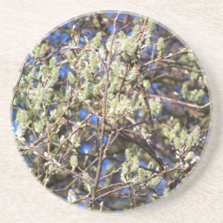 PUSSY WILLOW ZANDSTEEN ONDERZETTER