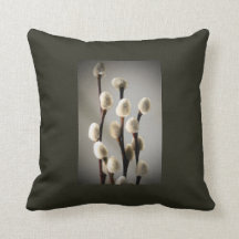 Pussy Willows