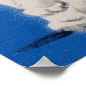 pussycat en pussywillow poster (Hoek)