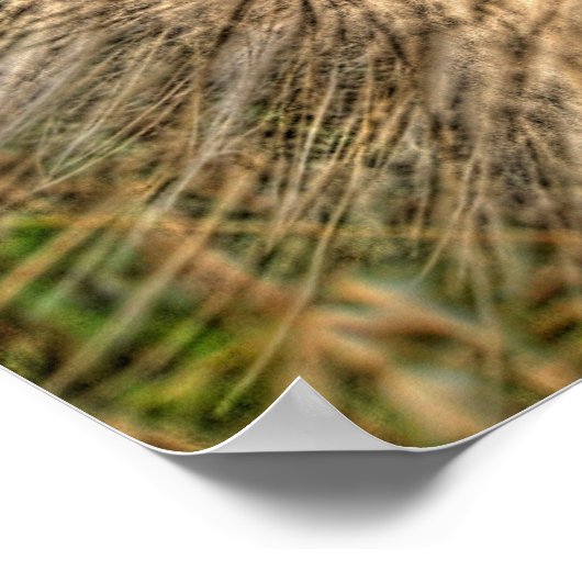 pusteblume 2007 poster (Hoek)