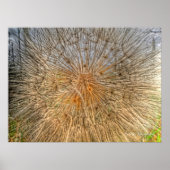 pusteblume 2007 poster (Voorkant)