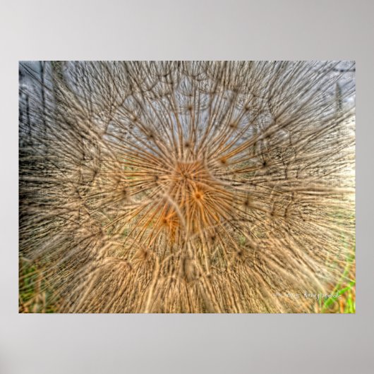 pusteblume 2007 poster (Voorkant)