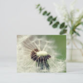 Pusteblume 2013 3 briefkaart (Staand voorkant)